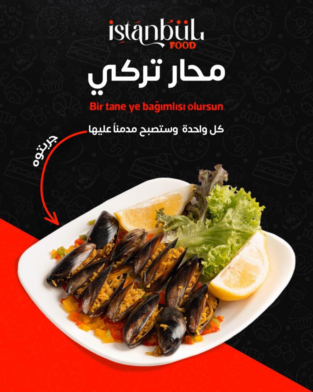 546220466_122133499838890826_7499660732658952871_n